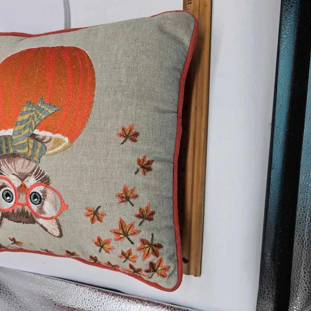 Pier 1 Tabby Cat/Kitten with Glasses & Scarf  in Pumpkin Pillow Embroidered 12